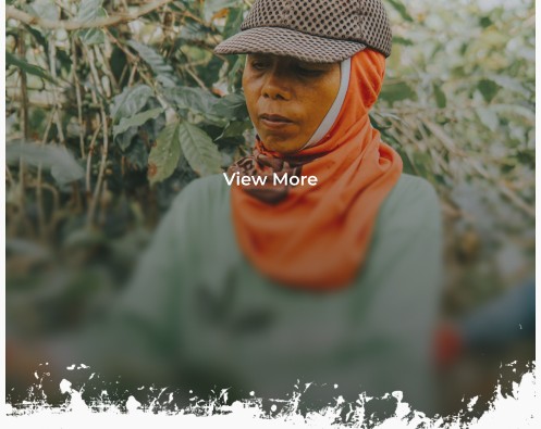 Harvest worker portrait