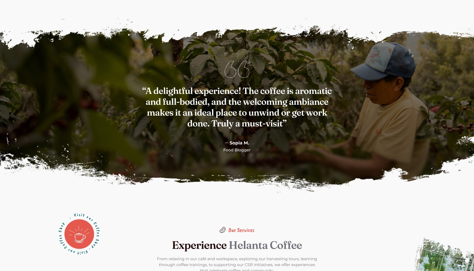 Coffee farm worker